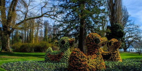 Krásný design květinových záhonů a květinových záhonů - jak zasadit květiny v zemi